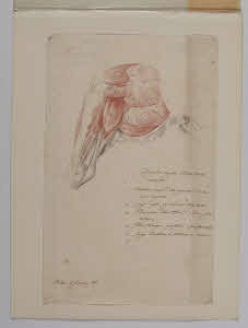 Visualizza l'immagine "Au. B 412"